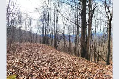 75 Rimrock Ridge #I, Clyde, NC 28721 - Photo 4
