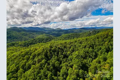 99999 Forest Brook Drive, Black Mountain, NC 28711 - Photo 12
