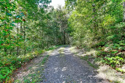 99999 Forest Brook Drive, Black Mountain, NC 28711 - Photo 4