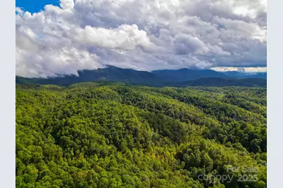 99999 Forest Brook Drive, Black Mountain, NC 28711 - Photo 8