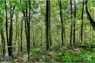 99999 Forest Brook Drive, Black Mountain, NC 28711 - Photo 2