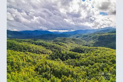 99999 Forest Brook Drive, Black Mountain, NC 28711 - Photo 6