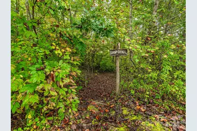 332 Millbrae Loop, Hendersonville, NC 28791 - Photo 6