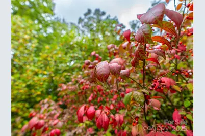332 Millbrae Loop, Hendersonville, NC 28791 - Photo 10