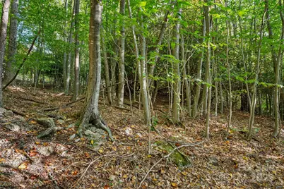 127 Mill Pond Lane, Beech Mountain, NC 28604 - Photo 40