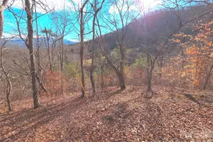 50 Feather Ln, Waynesville, NC 28786 - Photo 1