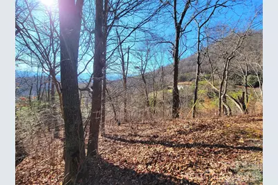 50 Feather Lane #50, Waynesville, NC 28786 - Photo 22