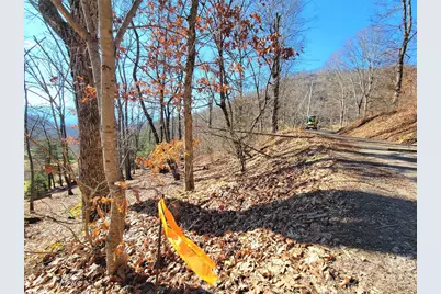 50 Feather Lane #50, Waynesville, NC 28786 - Photo 8