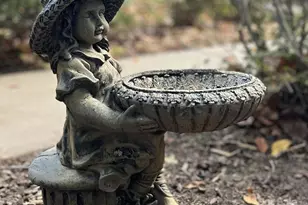 751 Whitney Blvd, Lake Lure, NC 28746 - Photo 42