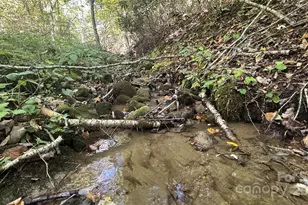 191 Ivy Way, Mars Hill, NC 28754 - Photo 38