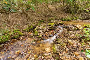 191 Ivy Way, Mars Hill, NC 28754 - Photo 36