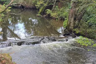 128 Cook Ln, Mills River, NC 28759 - Photo 2