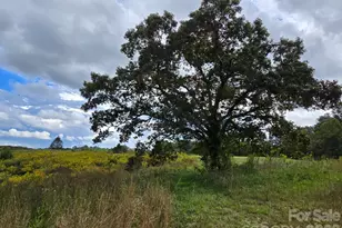 128 Cook Ln, Mills River, NC 28759 - Photo 2