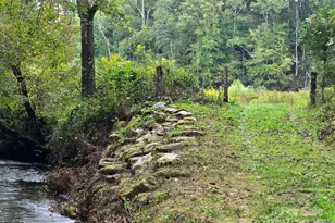 128 Cook Ln, Mills River, NC 28759 - Photo 10