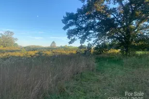 128 Cook Ln, Mills River, NC 28759 - Photo 28