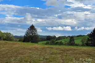 128 Cook Ln, Mills River, NC 28759 - Photo 12