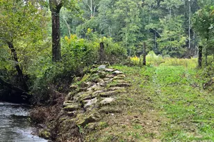 128 Cook Ln, Mills River, NC 28759 - Photo 10