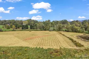 128 Cook Ln, Mills River, NC 28759 - Photo 34