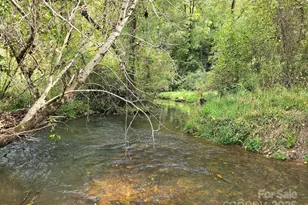 128 Cook Ln, Mills River, NC 28759 - Photo 16