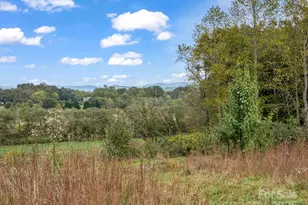 128 Cook Ln, Mills River, NC 28759 - Photo 42