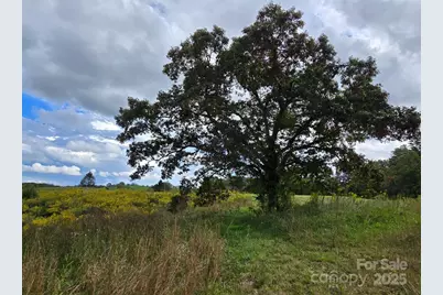128 Cook Lane, Mills River, NC 28759 - Photo 1
