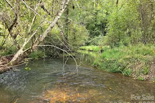 128 Cook Ln, Mills River, NC 28759 - Photo 16