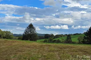 128 Cook Ln, Mills River, NC 28759 - Photo 12