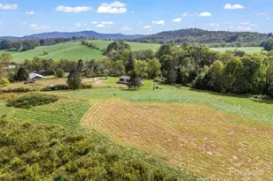 128 Cook Ln, Mills River, NC 28759 - Photo 38