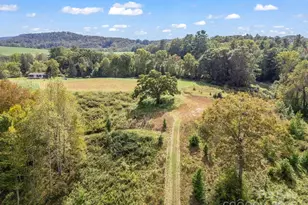 128 Cook Ln, Mills River, NC 28759 - Photo 4