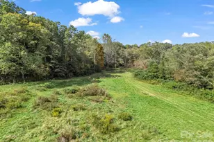 128 Cook Ln, Mills River, NC 28759 - Photo 32