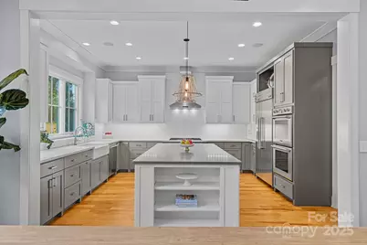 624 James Alexander Way, Davidson, NC 28036 - Photo 2