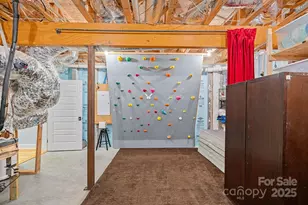 624 James Alexander Way, Davidson, NC 28036 - Photo 40