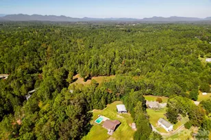 308 Frog Hollow Rd, Rutherfordton, NC 28139 - Photo 30