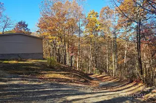 1655 Laurel Mountain View Rd, Flat Rock, NC 28731 - Photo 28