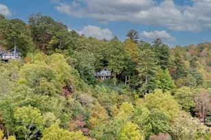 909 Green Hill Rd, Brevard, NC 28712 - Photo 40