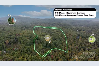 909 Green Hill Road, Brevard, NC 28712 - Photo 42