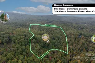 909 Green Hill Rd, Brevard, NC 28712 - Photo 42