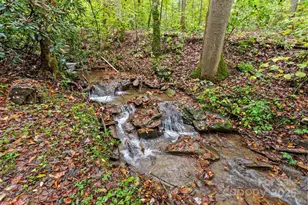 340 Henry Dingus Way, Maggie Valley, NC 28751 - Photo 2