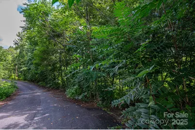 Lot 19 Line Drive, Forest City, NC 28043 - Photo 4