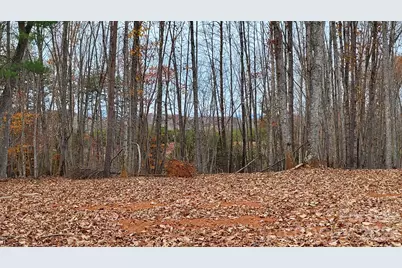 1056 Stephens Trail Road, Sandy Ridge, NC 27046 - Photo 10