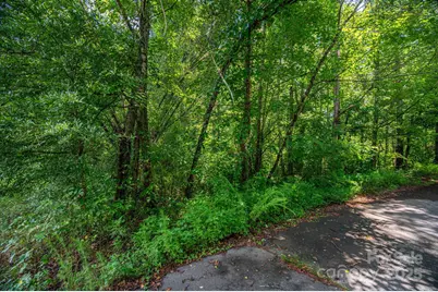 Lot 31 Line Drive, Forest City, NC 28043 - Photo 4