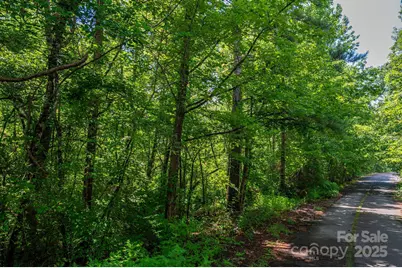 Lot 31 Line Drive, Forest City, NC 28043 - Photo 1