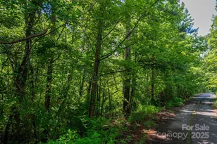 Lot 31 Line Dr, Forest City, NC 28043 - Photo 1