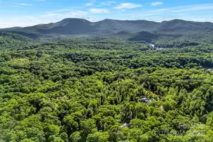 7 Hearthstone Ln, Landrum, SC 29356 - Photo 38