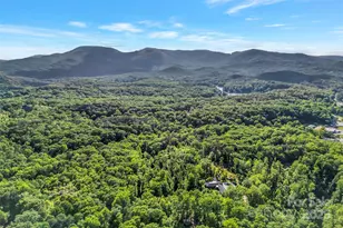 7 Hearthstone Ln, Landrum, SC 29356 - Photo 42