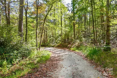 14 Johnny Farm Road, Black Mountain, NC 28711 - Photo 4