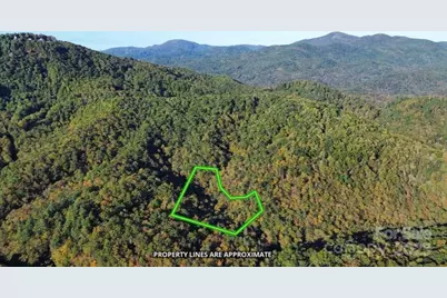 14 Johnny Farm Road, Black Mountain, NC 28711 - Photo 1