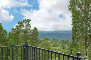 161 Birchwood Dr, Hendersonville, NC 28739 - Photo 34