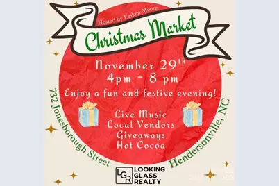 732 Jonesborough Street, Hendersonville, NC 28739 - Photo 2