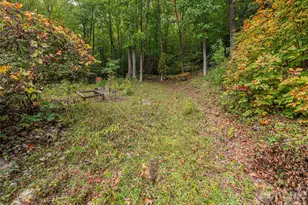 775 Chambers Cv Rd, Canton, NC 28716 - Photo 22